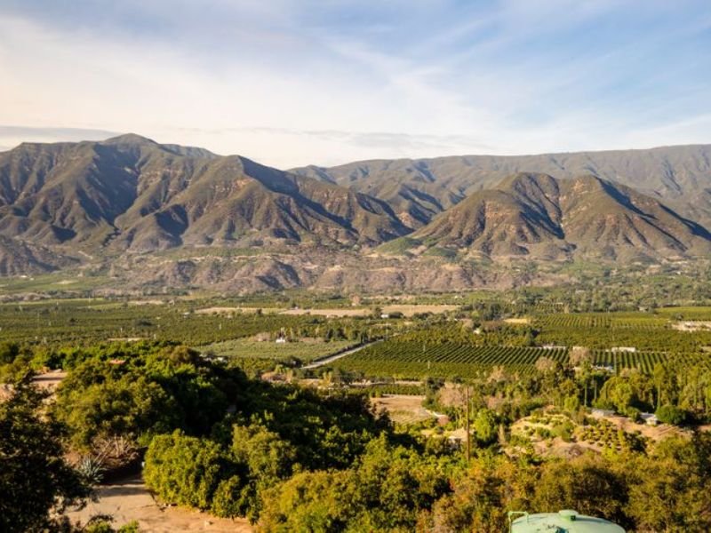 Inside Ojai, California's "Valley of the Moon," Where Mountain Views Meet Michelin-Recognized Dining