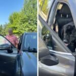 Maryland Citizen Calls Out Alleged Animal Abuser for Leaving Dog in Hot Car for Over an Hour: ‘Make This Guy Regret It’
