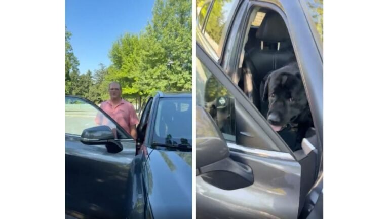 Maryland Citizen Calls Out Alleged Animal Abuser for Leaving Dog in Hot Car for Over an Hour: 'Make This Guy Regret It'